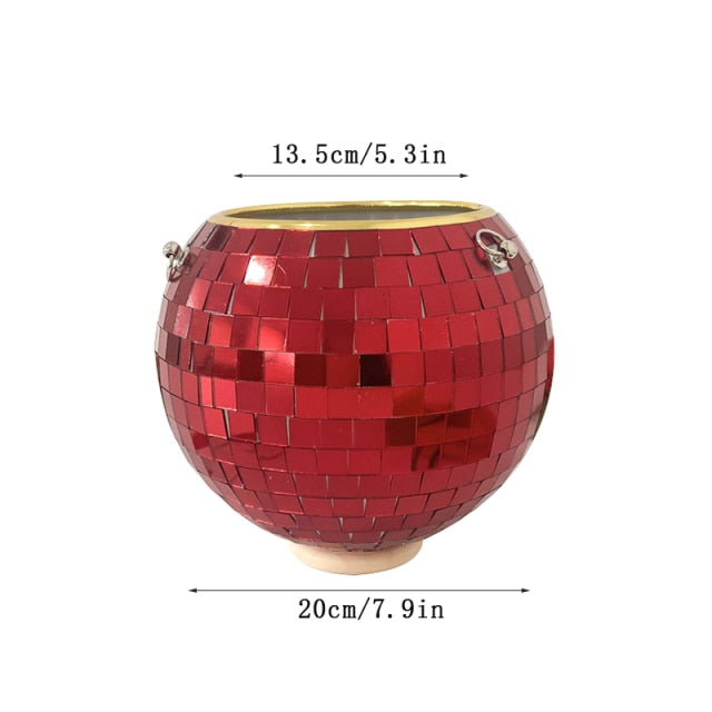 Disco Ball Pflanze