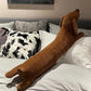Dachshund Hund Kissen