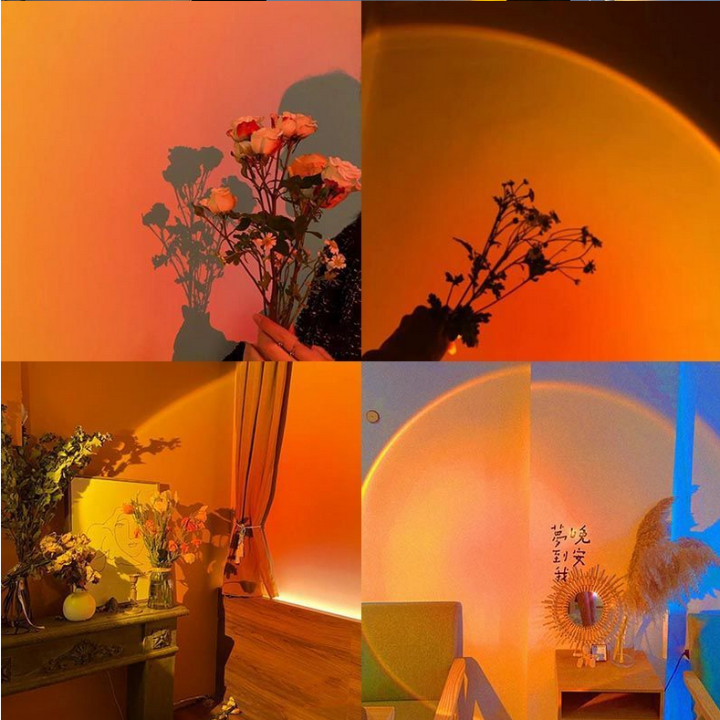 Frendorf | Katze Ohren Schreibtisch Sonnenuntergang Lampe