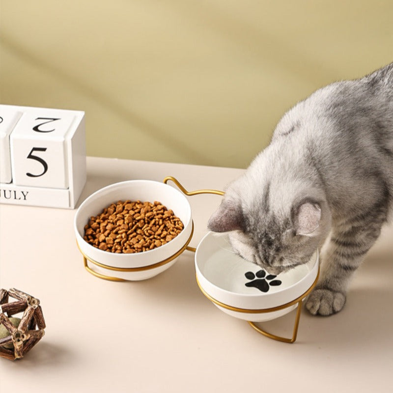 Niederschwellige Keramikkatzenfutterschüssel mit Ständer