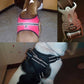 Frendorf | Hundeweste Harness