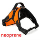 Frendorf | Hundeweste Harness
