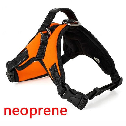 Frendorf | Hundeweste Harness