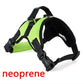 Frendorf | Hundeweste Harness