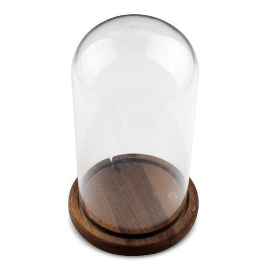 Weihnachtszylinder-Glasdome-Display mit Holzsockel