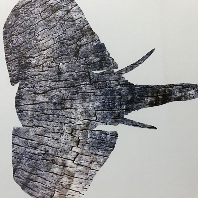 Moods Of Elephants - Leinwand Wandkunst Malerei