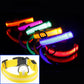 Frendorf | LED Hundehalsband