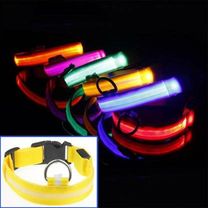 Frendorf | LED Hundehalsband