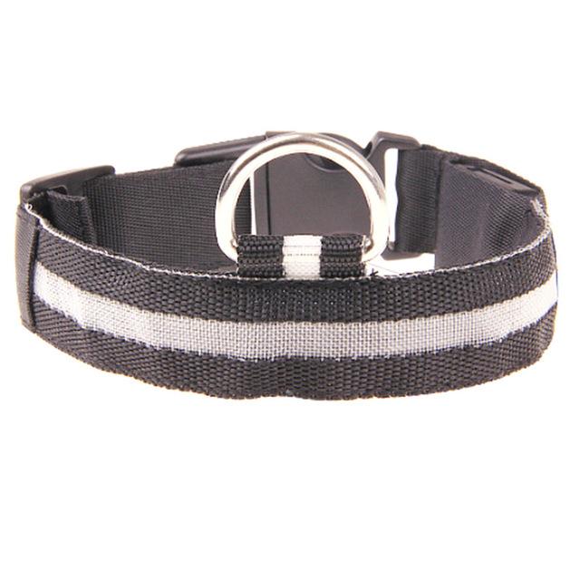 Frendorf | LED Hundehalsband