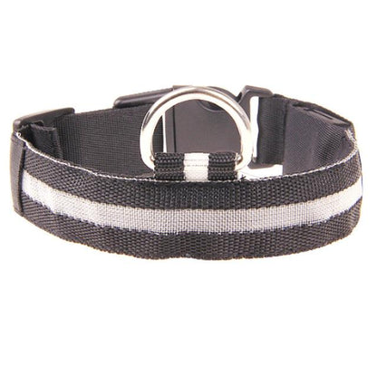 Frendorf | LED Hundehalsband