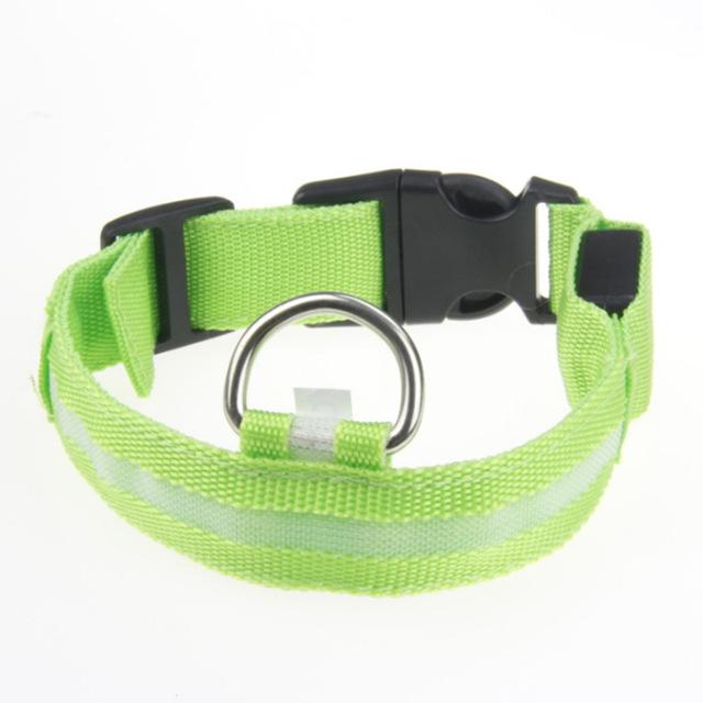 Frendorf | LED Hundehalsband