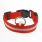 Frendorf | LED Hundehalsband