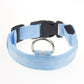 Frendorf | LED Hundehalsband