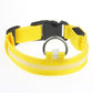 Frendorf | LED Hundehalsband