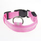 Frendorf | LED Hundehalsband