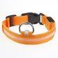 Frendorf | LED Hundehalsband