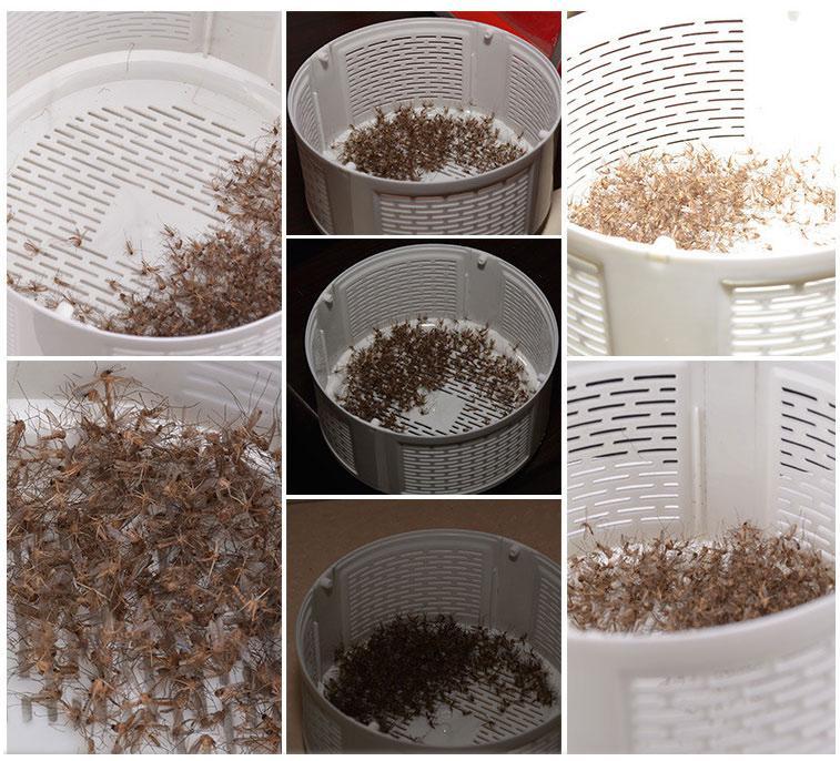 Frendorf | Bug Zapper Mückenvernichter Lampe