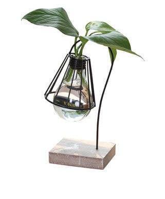 Frendorf | Kreative Miniatur Katze Form Pflanze Vase