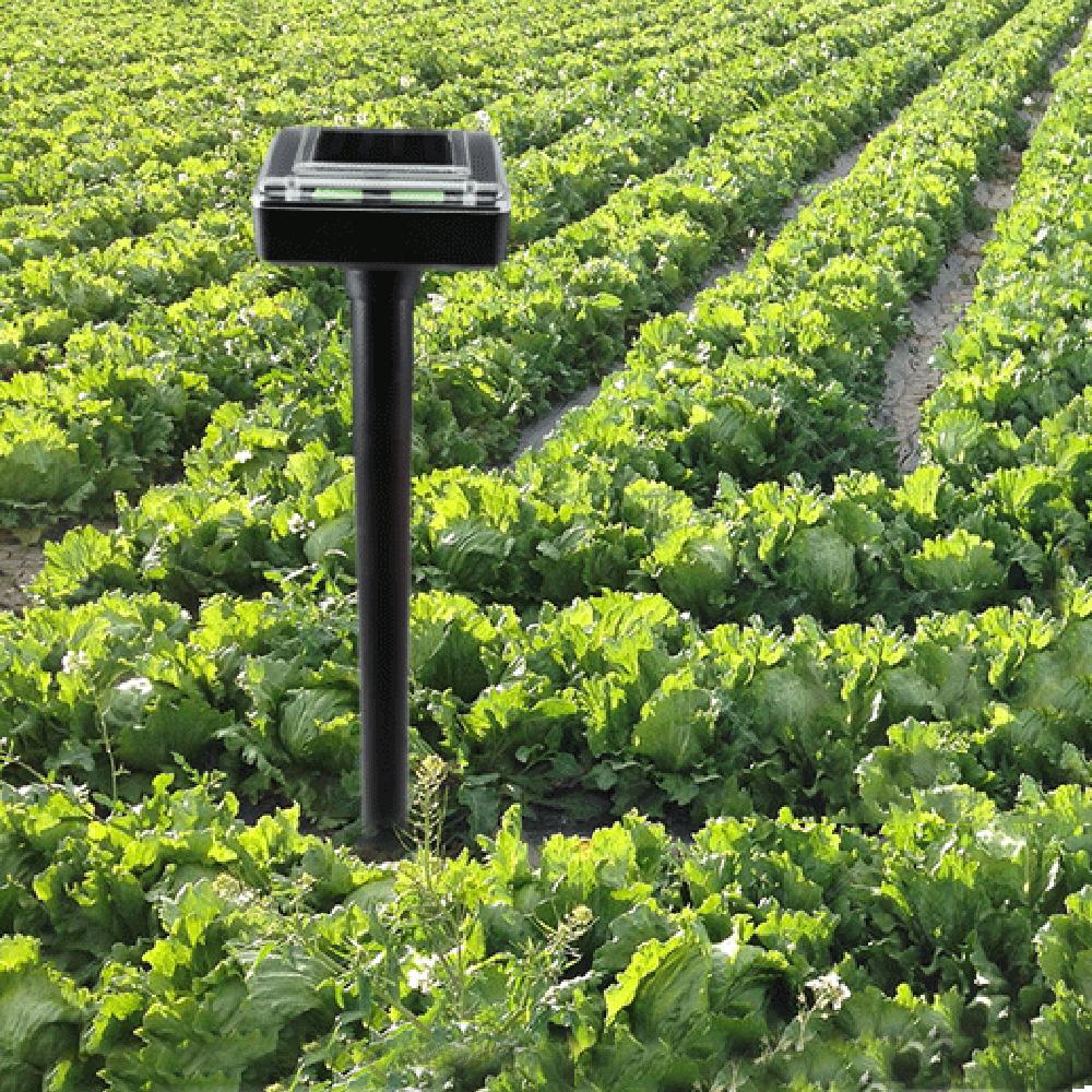 Frendorf | 2 Stück Solarbetriebene Ultraschall Schlangenabwehr, Maulwurfabwehr, Gopherabwehr