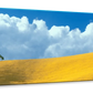 Frendorf | Lone Oak Tree At Hillside In Paso Robles Wandkunst
