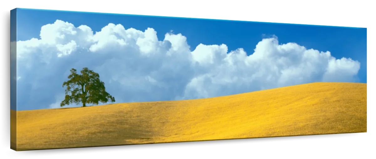 Frendorf | Lone Oak Tree At Hillside In Paso Robles Wandkunst