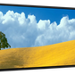 Frendorf | Lone Oak Tree At Hillside In Paso Robles Wandkunst
