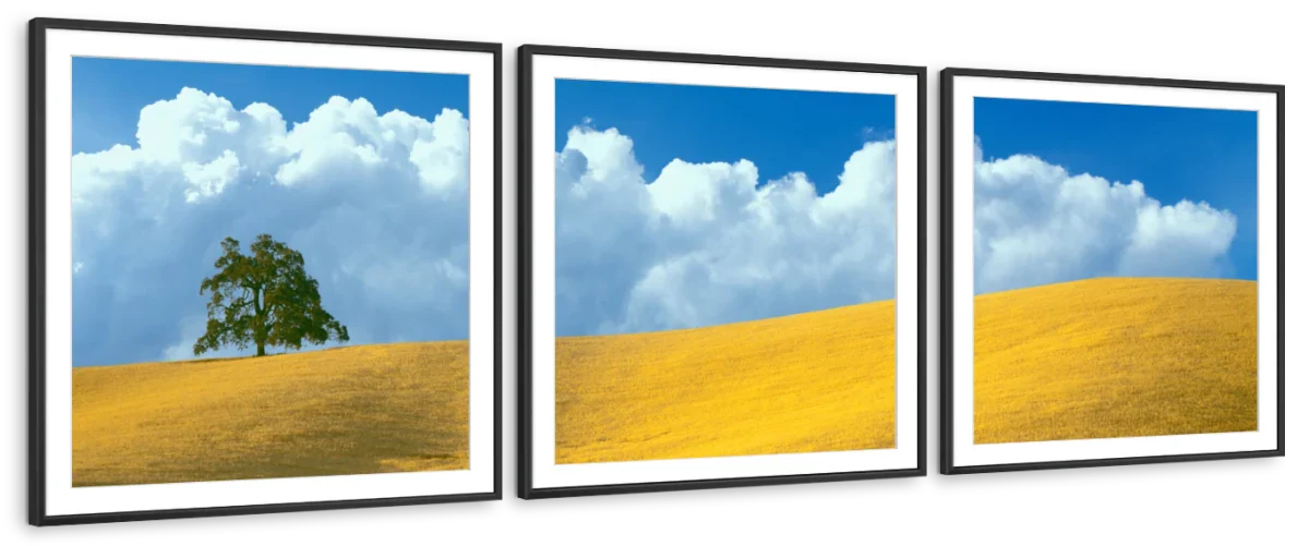 Frendorf | Lone Oak Tree At Hillside In Paso Robles Wandkunst