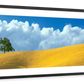 Frendorf | Lone Oak Tree At Hillside In Paso Robles Wandkunst