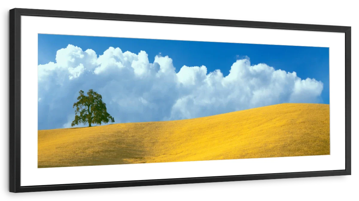 Frendorf | Lone Oak Tree At Hillside In Paso Robles Wandkunst