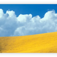 Frendorf | Lone Oak Tree At Hillside In Paso Robles Wandkunst