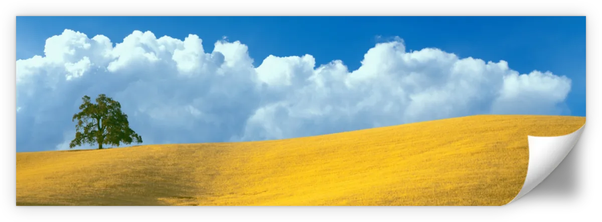 Frendorf | Lone Oak Tree At Hillside In Paso Robles Wandkunst