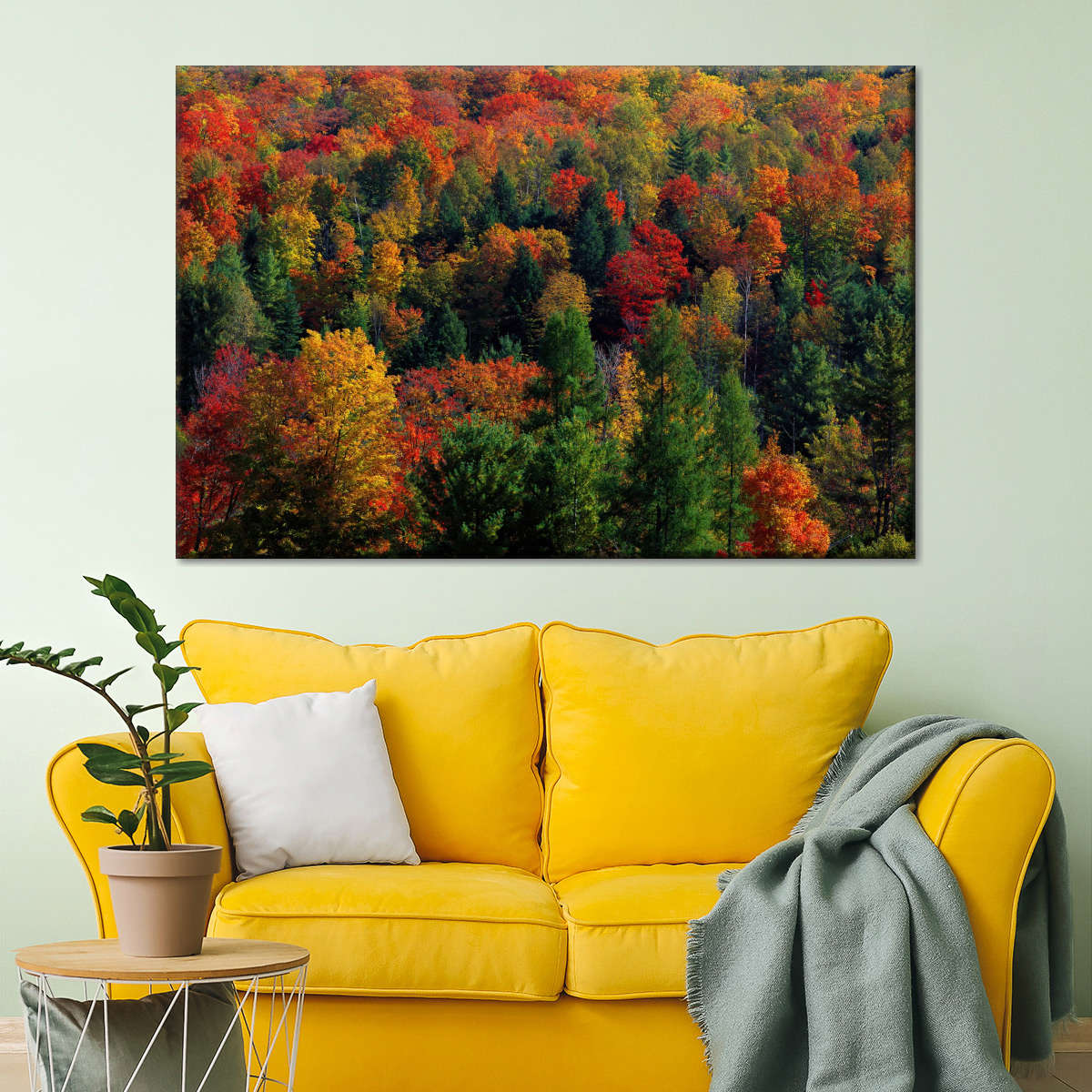 Frendorf | Herbstblätter in Vermont USA Wandkunst