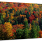 Frendorf | Herbstblätter in Vermont USA Wandkunst
