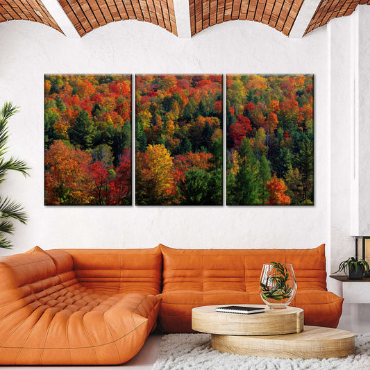 Frendorf | Herbstblätter in Vermont USA Wandkunst