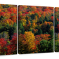 Frendorf | Herbstblätter in Vermont USA Wandkunst