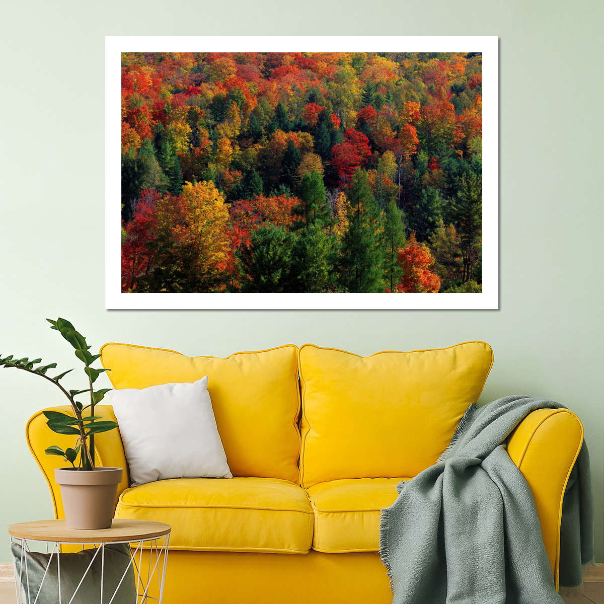 Frendorf | Herbstblätter in Vermont USA Wandkunst