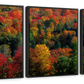 Frendorf | Herbstblätter in Vermont USA Wandkunst