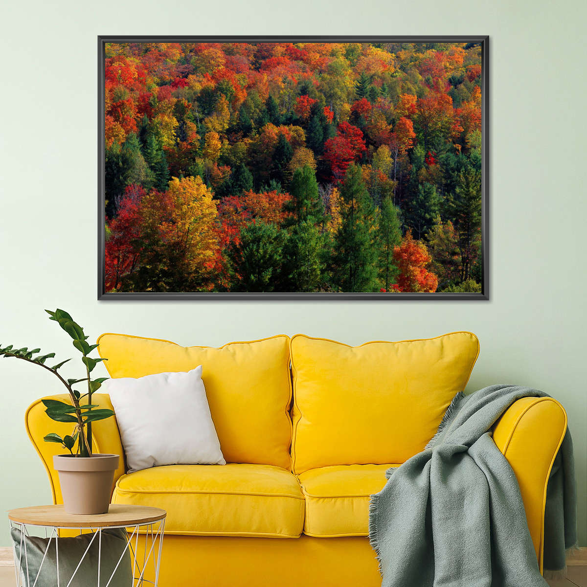 Frendorf | Herbstblätter in Vermont USA Wandkunst
