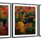 Frendorf | Herbstblätter in Vermont USA Wandkunst