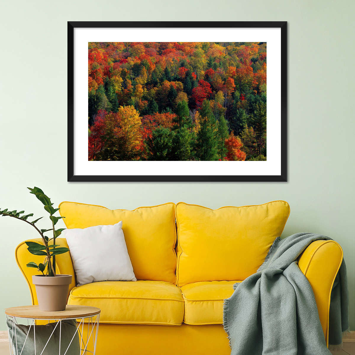 Frendorf | Herbstblätter in Vermont USA Wandkunst