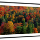 Frendorf | Herbstblätter in Vermont USA Wandkunst