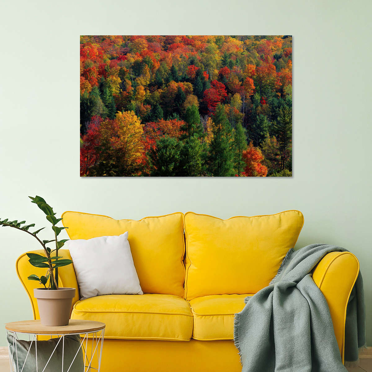 Frendorf | Herbstblätter in Vermont USA Wandkunst