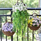 Frendorf | RattaBloom Wand-Pflanzgefäß aus Rattan | Hängender Pflanzenhalter | Dekoratives Garten-Accessoire