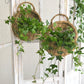 Frendorf | RattaBloom Wand-Pflanzgefäß aus Rattan | Hängender Pflanzenhalter | Dekoratives Garten-Accessoire