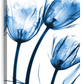 Frendorf | Drei Blaue Tulpen Wandkunst