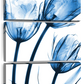 Frendorf | Drei Blaue Tulpen Wandkunst