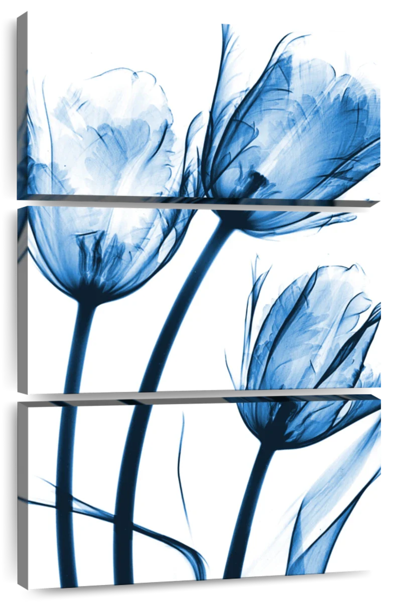 Frendorf | Drei Blaue Tulpen Wandkunst