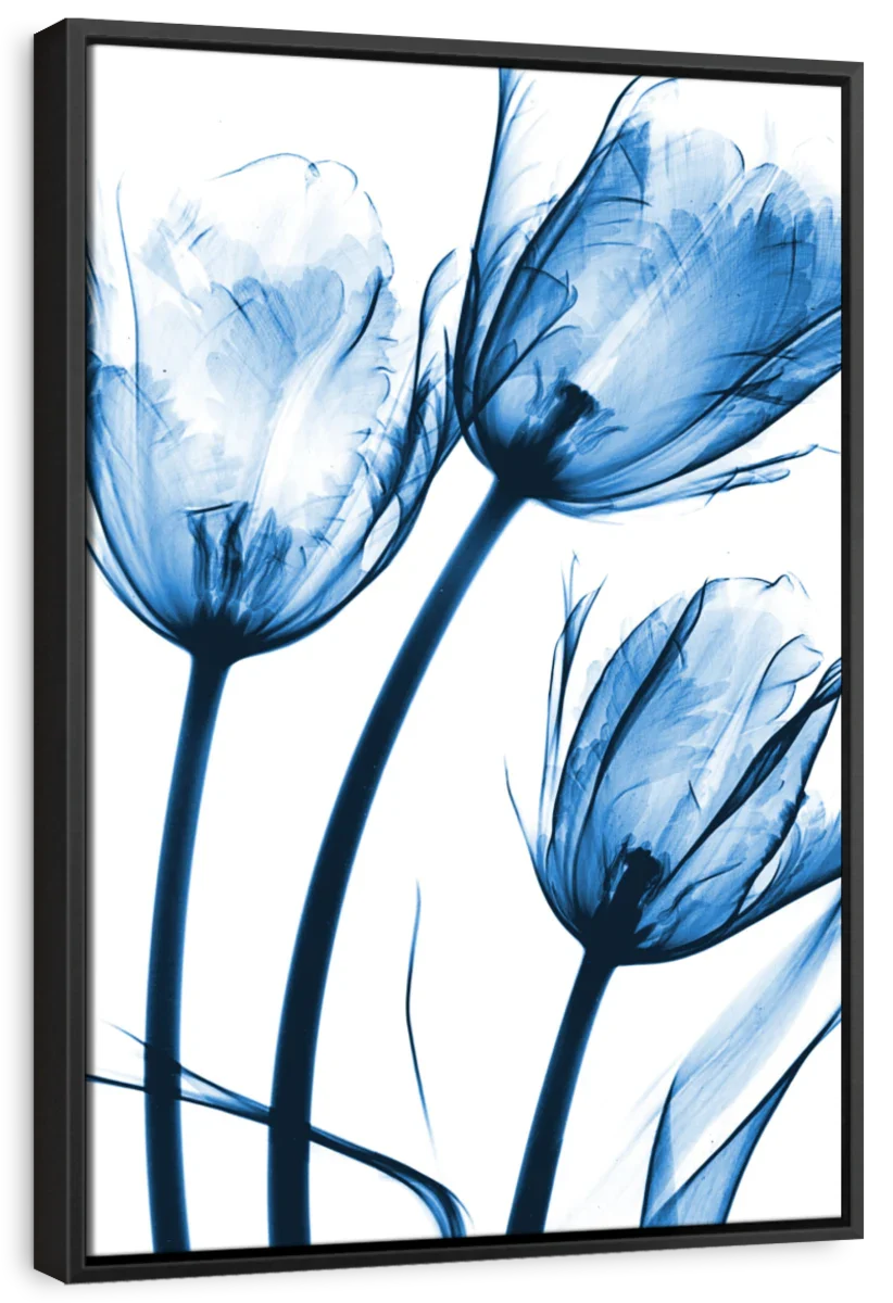 Frendorf | Drei Blaue Tulpen Wandkunst
