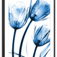 Frendorf | Drei Blaue Tulpen Wandkunst