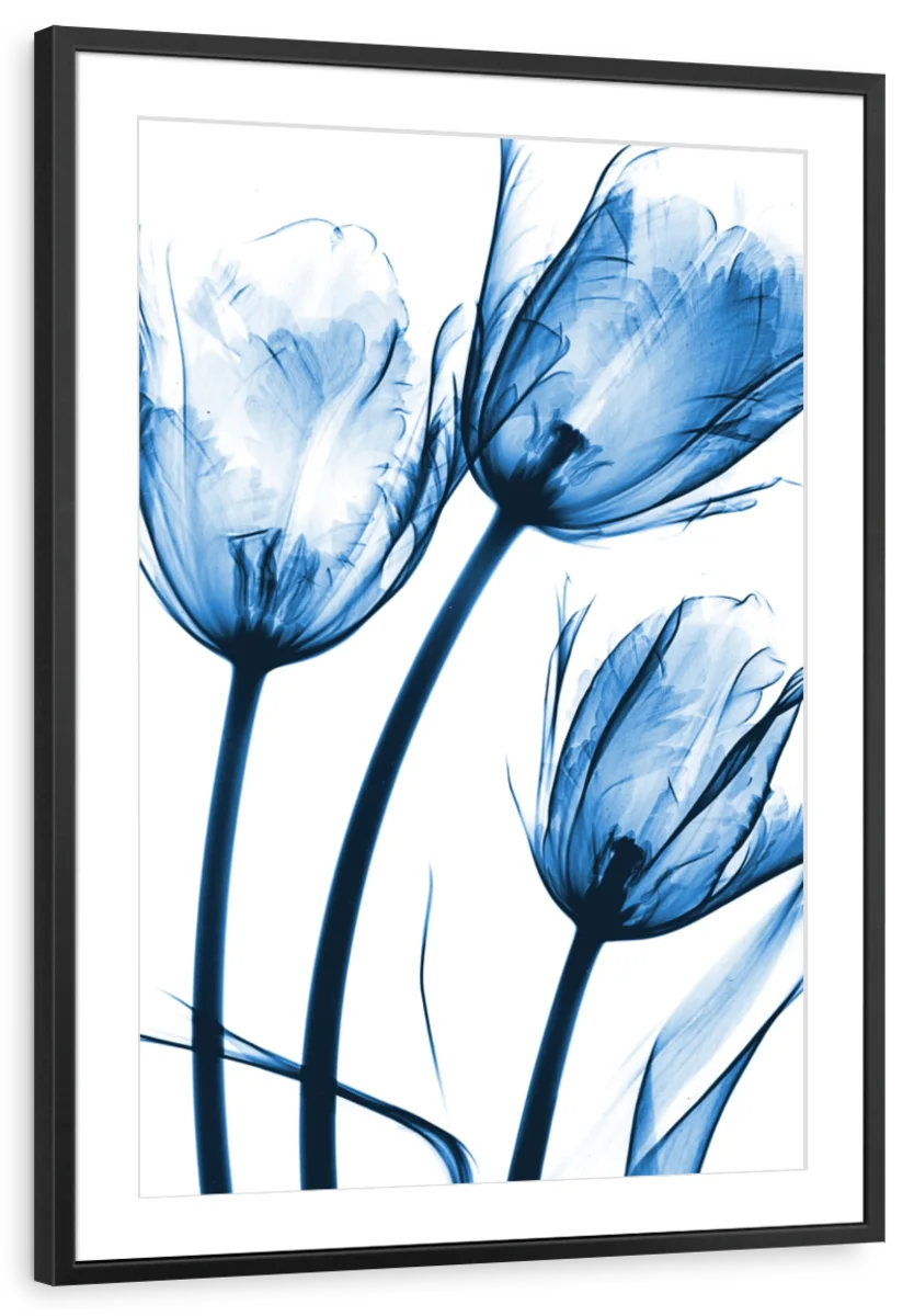 Frendorf | Drei Blaue Tulpen Wandkunst